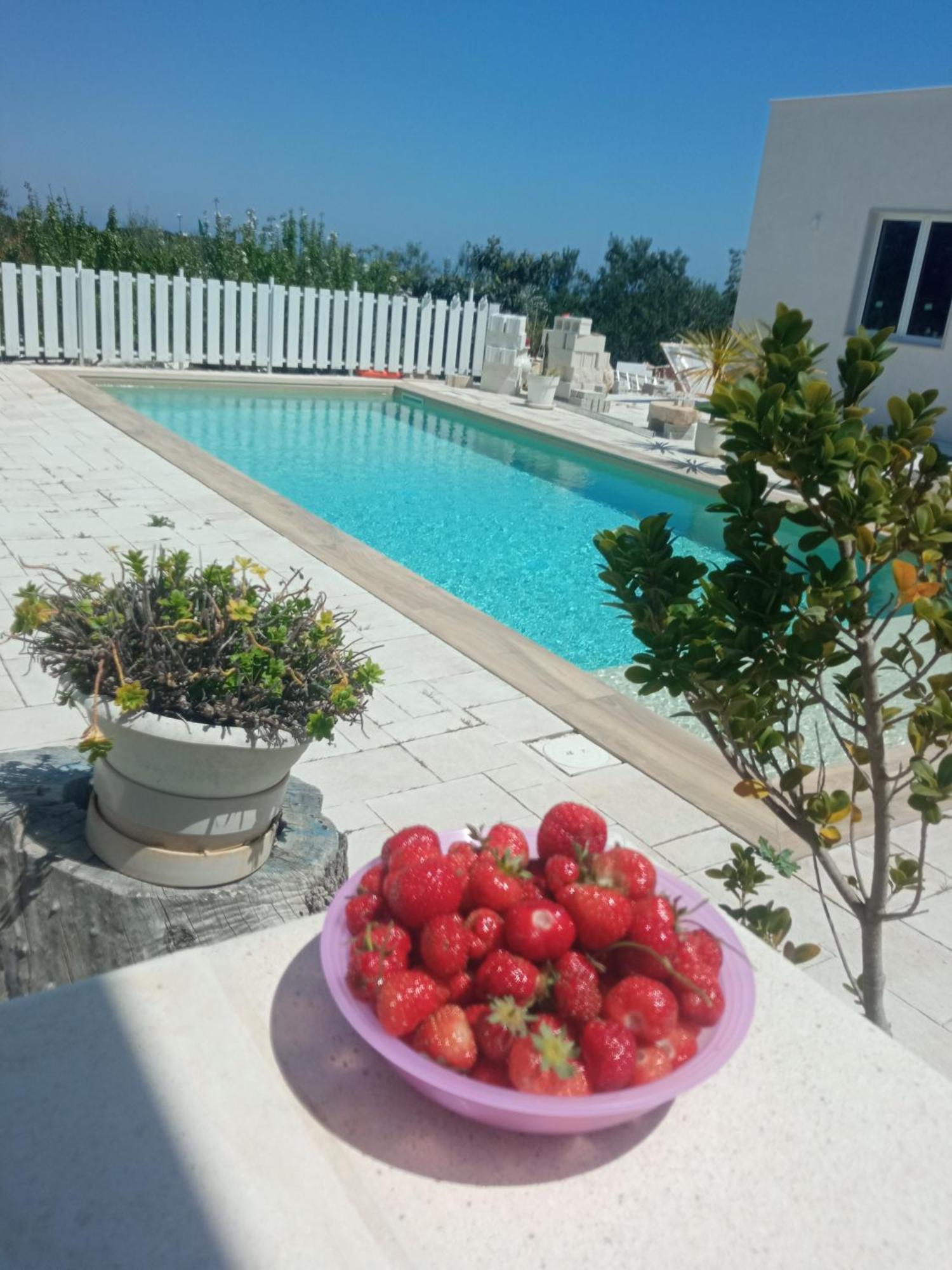 Vale & Frans Villa Monopoli Exterior foto